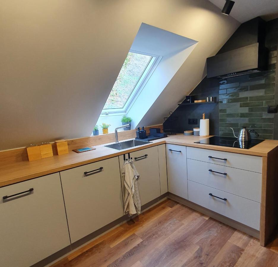 Apartamenty Magiczna Wenecja チェシン エクステリア 写真
