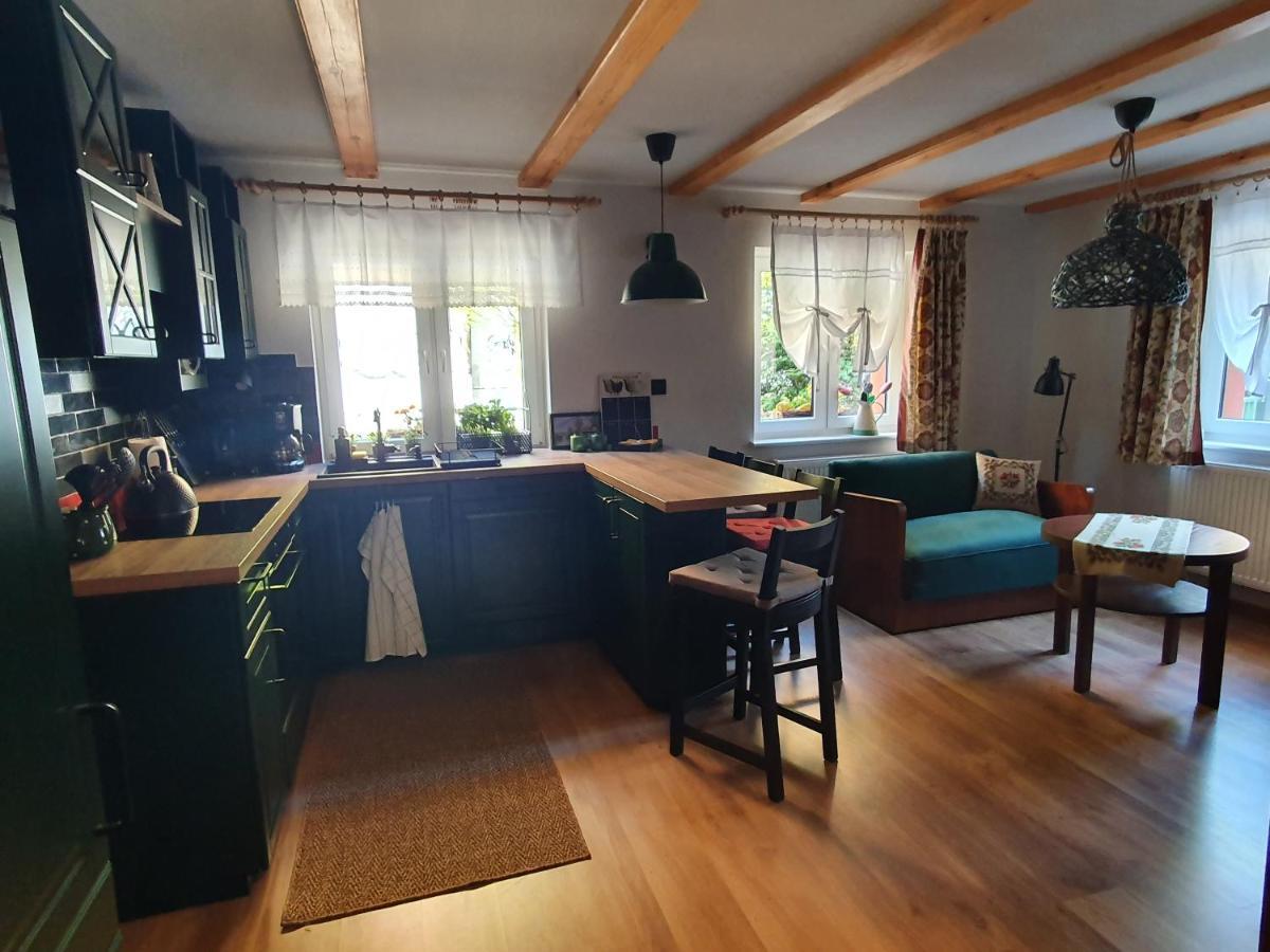 Apartamenty Magiczna Wenecja チェシン エクステリア 写真
