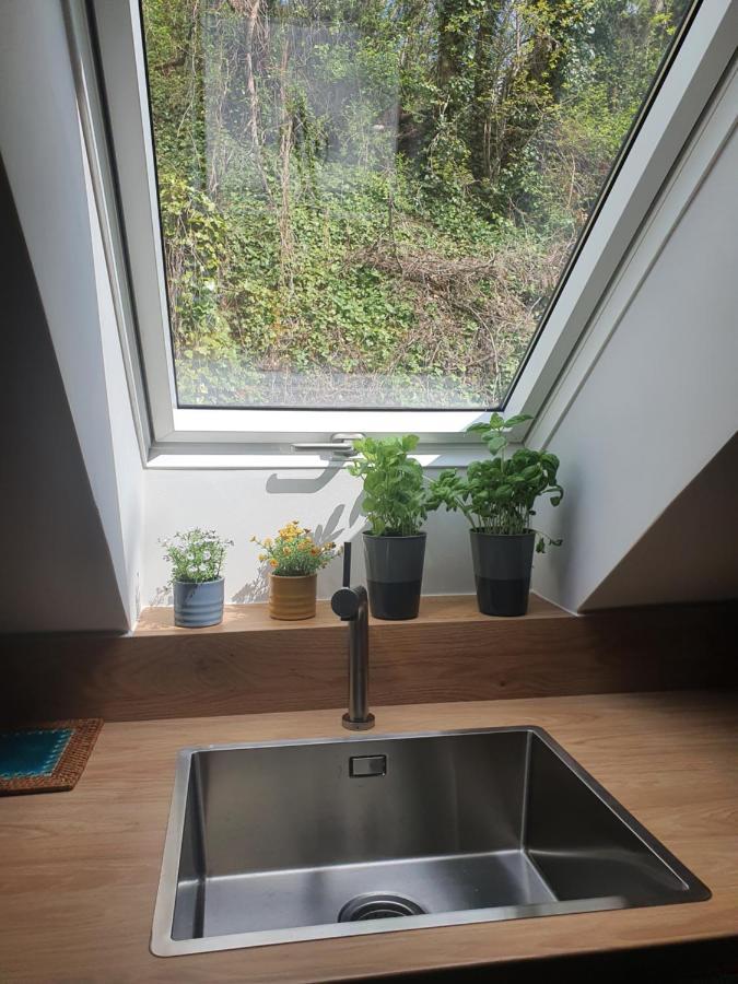 Apartamenty Magiczna Wenecja チェシン エクステリア 写真