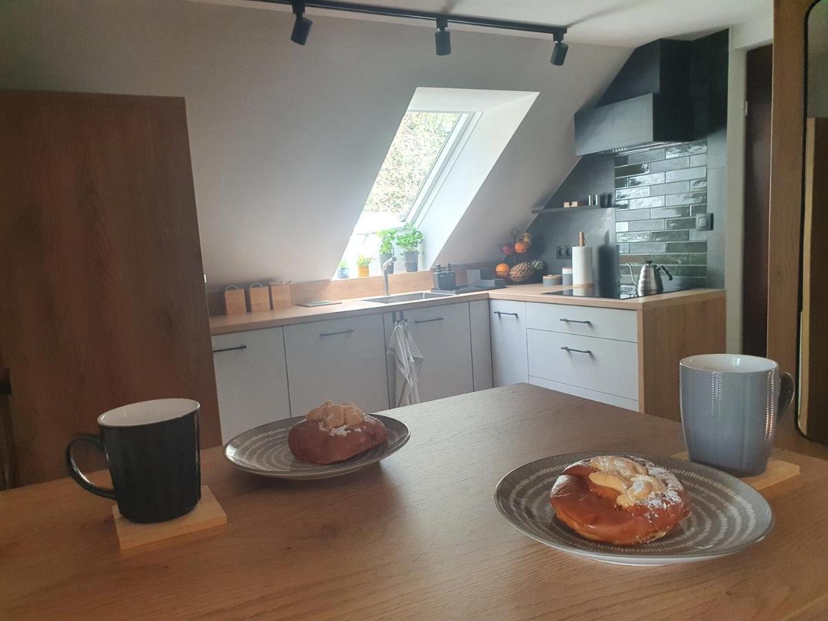 Apartamenty Magiczna Wenecja チェシン エクステリア 写真