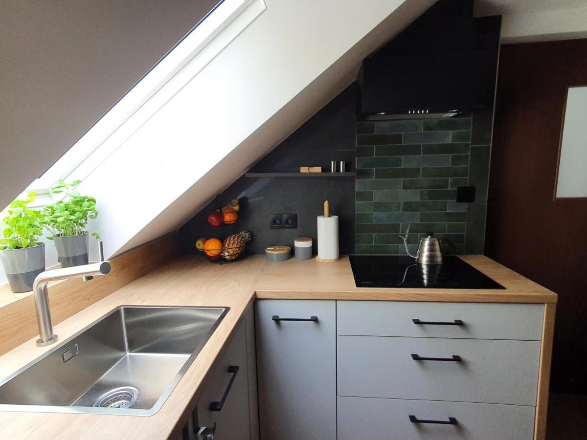 Apartamenty Magiczna Wenecja チェシン エクステリア 写真