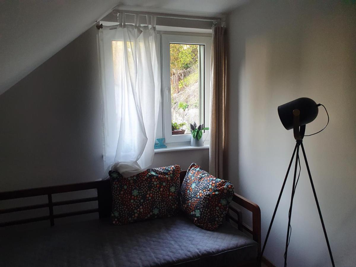 Apartamenty Magiczna Wenecja チェシン エクステリア 写真