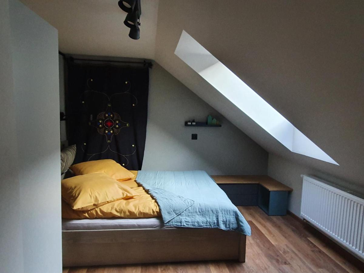 Apartamenty Magiczna Wenecja チェシン エクステリア 写真